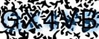 grafischer Sicherheitscode