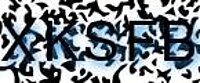 grafischer Sicherheitscode
