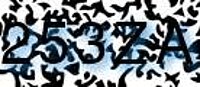 grafischer Sicherheitscode