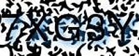 grafischer Sicherheitscode