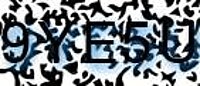grafischer Sicherheitscode