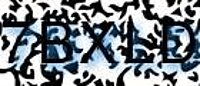 grafischer Sicherheitscode