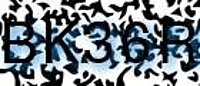 grafischer Sicherheitscode