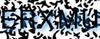 grafischer Sicherheitscode