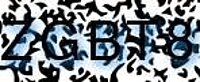 grafischer Sicherheitscode