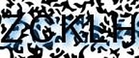grafischer Sicherheitscode