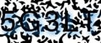 grafischer Sicherheitscode