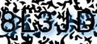 grafischer Sicherheitscode