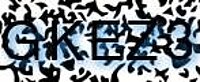 grafischer Sicherheitscode