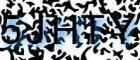 grafischer Sicherheitscode