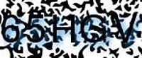 grafischer Sicherheitscode