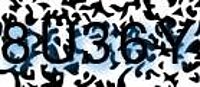 grafischer Sicherheitscode