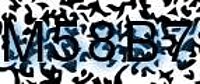 grafischer Sicherheitscode