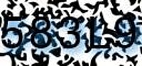 grafischer Sicherheitscode