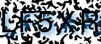 grafischer Sicherheitscode