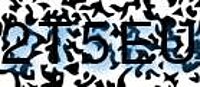 grafischer Sicherheitscode