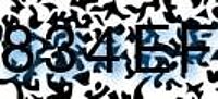 grafischer Sicherheitscode