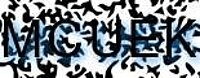grafischer Sicherheitscode