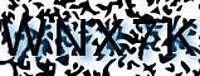 grafischer Sicherheitscode