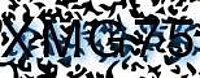 grafischer Sicherheitscode