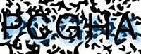 grafischer Sicherheitscode