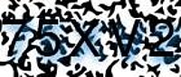 grafischer Sicherheitscode