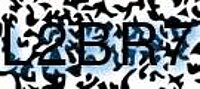 grafischer Sicherheitscode