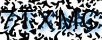 grafischer Sicherheitscode