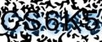 grafischer Sicherheitscode