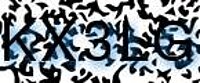 grafischer Sicherheitscode