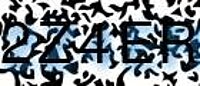 grafischer Sicherheitscode
