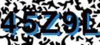 grafischer Sicherheitscode