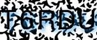 grafischer Sicherheitscode