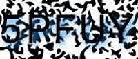 grafischer Sicherheitscode