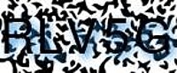 grafischer Sicherheitscode