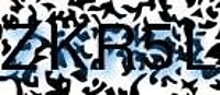 grafischer Sicherheitscode
