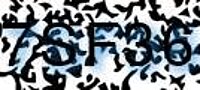 grafischer Sicherheitscode