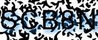 grafischer Sicherheitscode