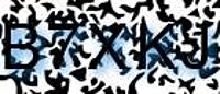 grafischer Sicherheitscode