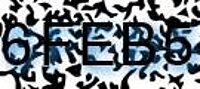 grafischer Sicherheitscode