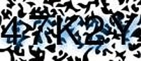 grafischer Sicherheitscode