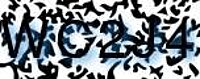 grafischer Sicherheitscode
