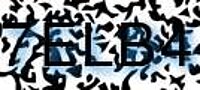 grafischer Sicherheitscode