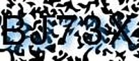 grafischer Sicherheitscode