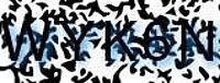 grafischer Sicherheitscode