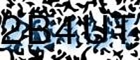 grafischer Sicherheitscode