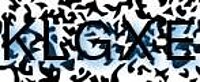 grafischer Sicherheitscode
