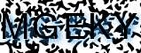 grafischer Sicherheitscode