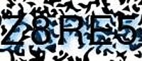 grafischer Sicherheitscode