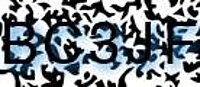 grafischer Sicherheitscode